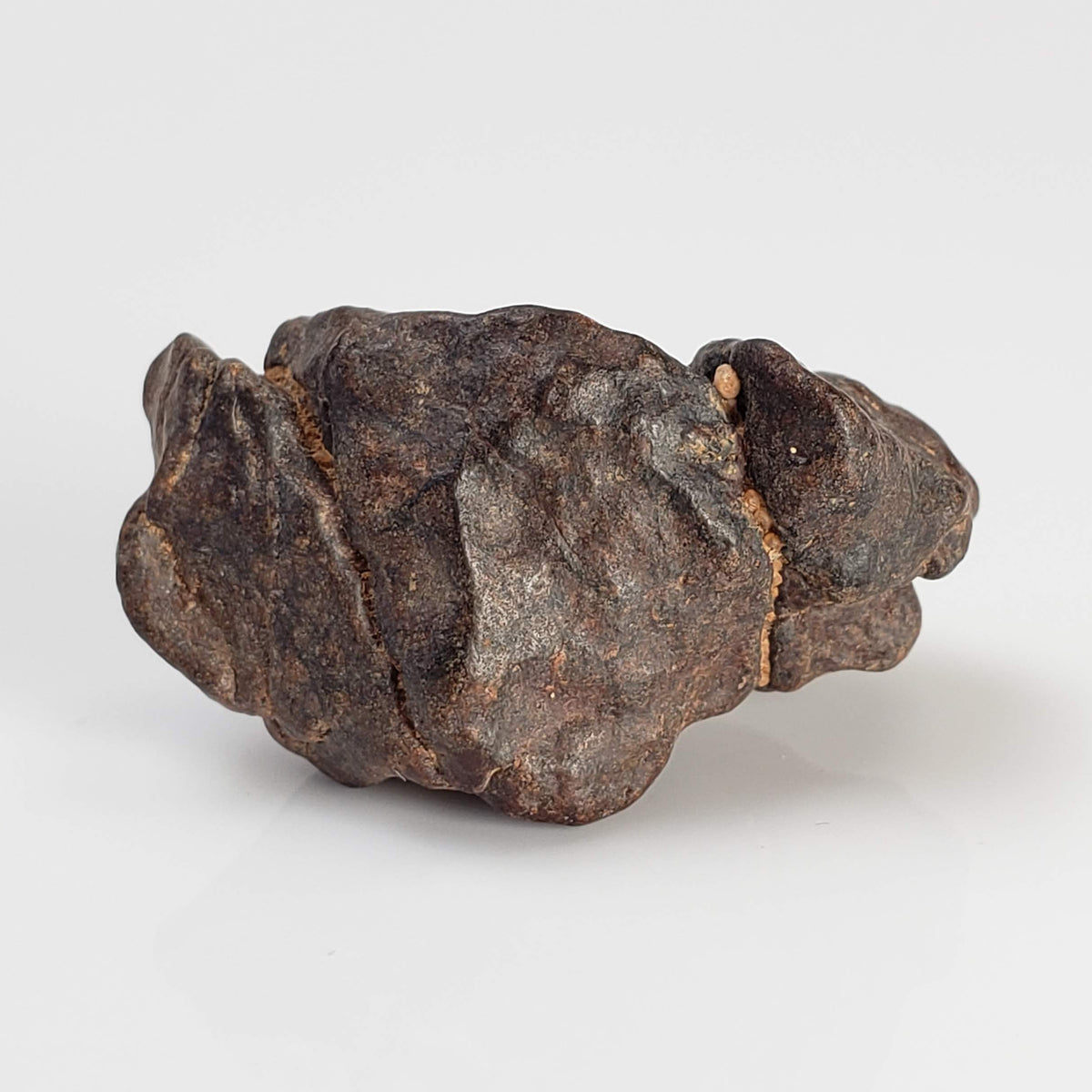  NWA 4293 Meteorite | 7.61 Grams | Individual | H6 Chondrite 4