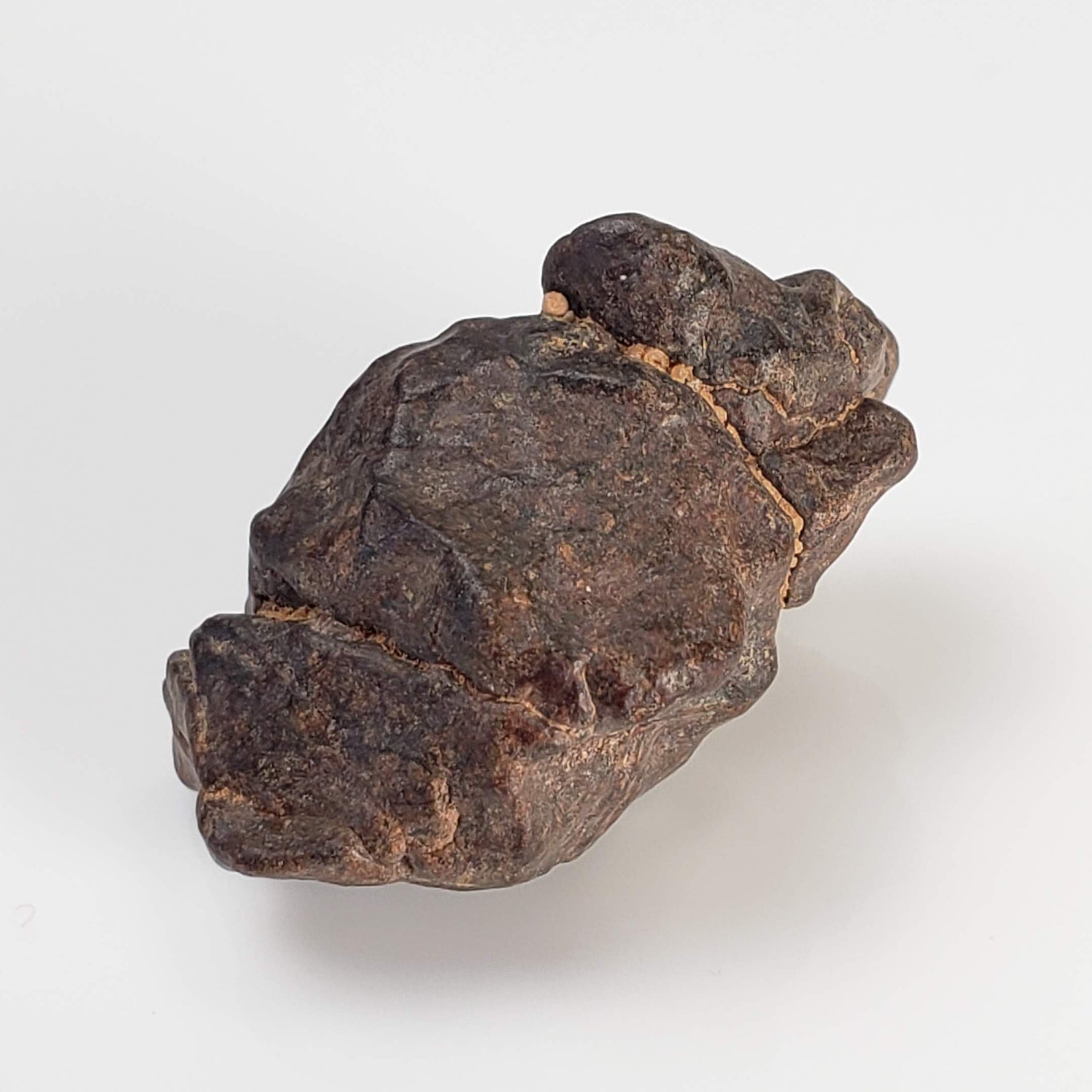  NWA 4293 Meteorite | 7.61 Grams | Individual | H6 Chondrite 6