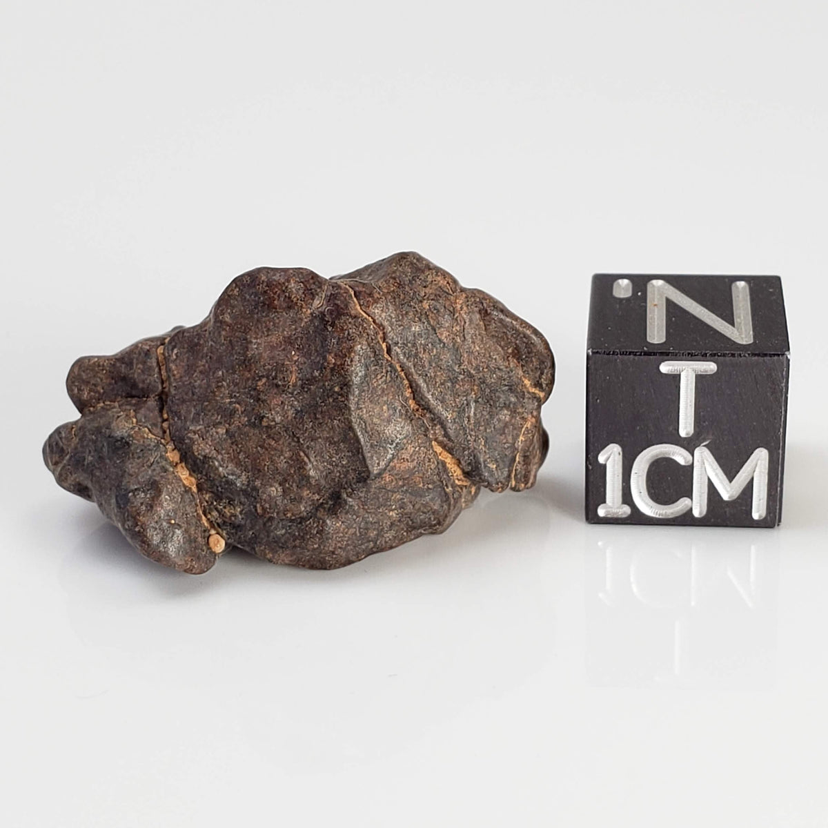  NWA 4293 Meteorite | 7.61 Grams | Individual | H6 Chondrite 