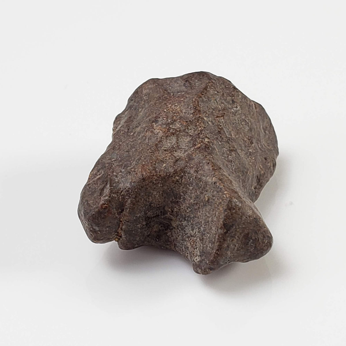  NWA 4293 Meteorite | 8.6 Grams | Individual | H6 Chondrite 3