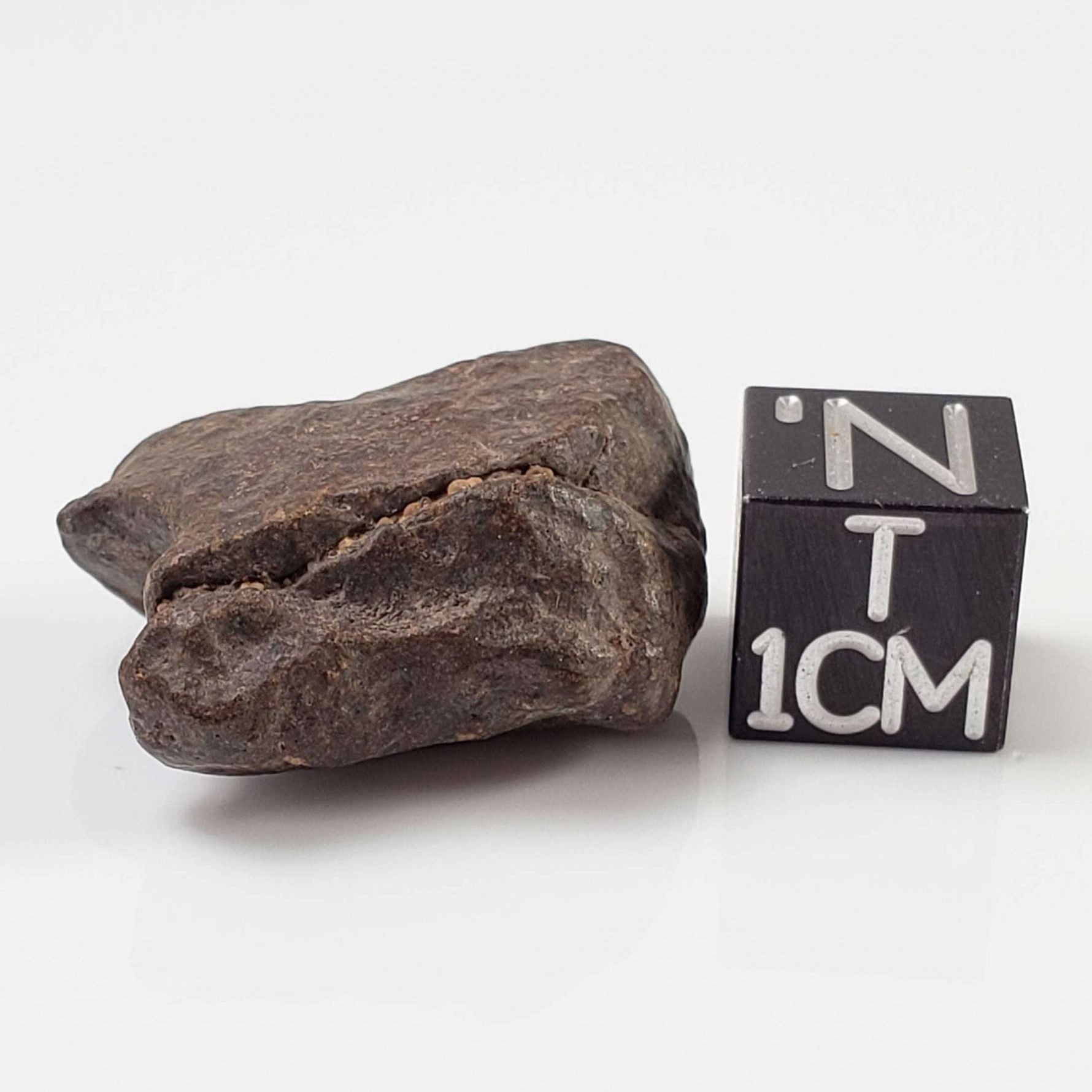  NWA 4293 Meteorite | 8.6 Grams | Individual | H6 Chondrite 