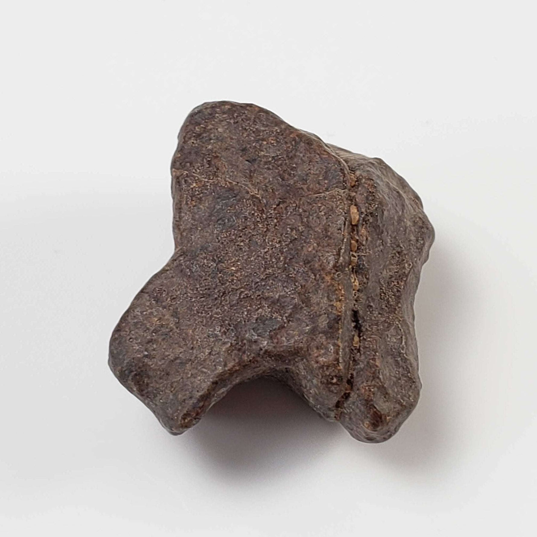  NWA 4293 Meteorite | 8.6 Grams | Individual | H6 Chondrite 1