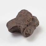  NWA 4293 Meteorite | 8.6 Grams | Individual | H6 Chondrite 6