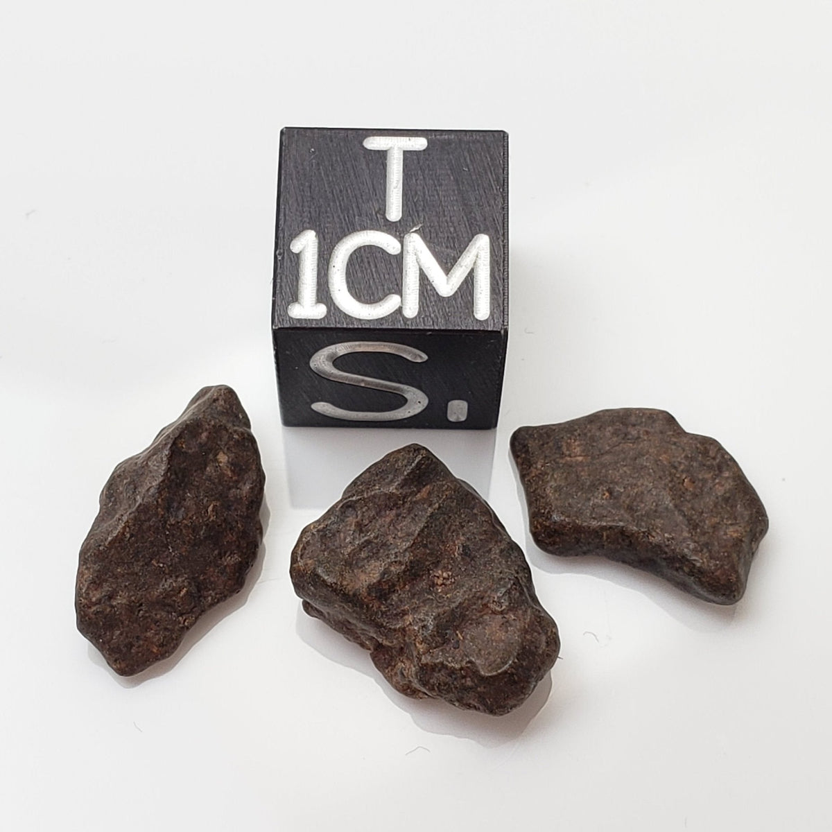  NWA 4293 Meteorite | Micro Specimen Individual | H6 Chondrite | Gem Jar 