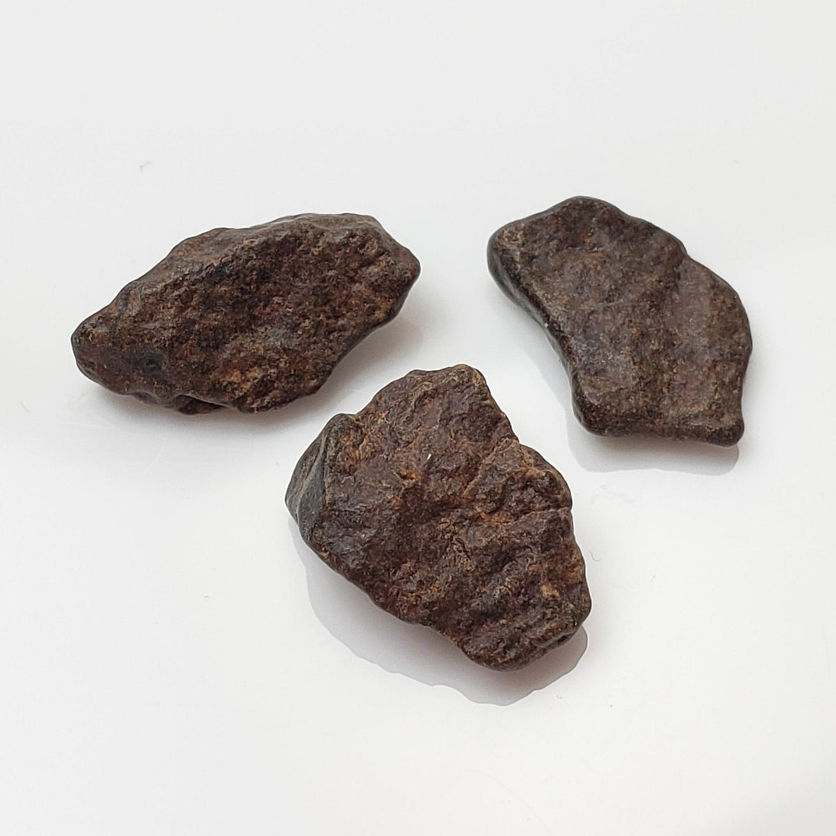  NWA 4293 Meteorite | Micro Specimen Individual | H6 Chondrite | Gem Jar 1
