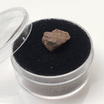  NWA 4293 Meteorite | Micro Specimen Individual | H6 Chondrite | Gem Jar 2
