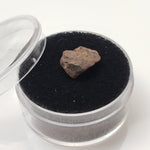  NWA 4293 Meteorite | Micro Specimen Individual | H6 Chondrite | Gem Jar 3