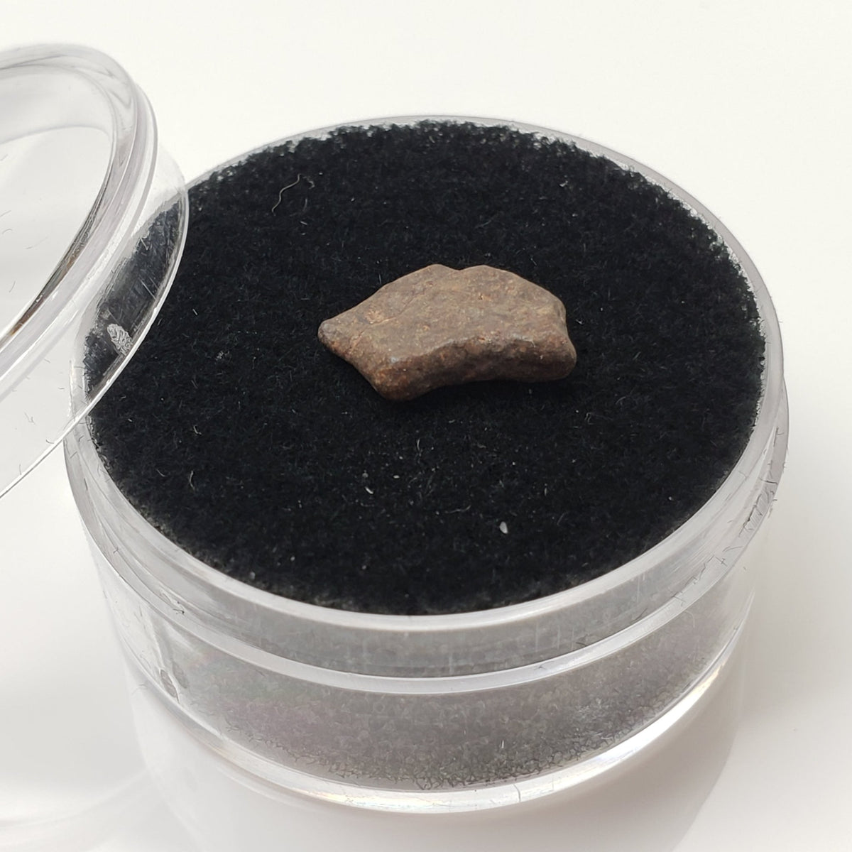  NWA 4293 Meteorite | Micro Specimen Individual | H6 Chondrite | Gem Jar 4