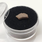  NWA 4293 Meteorite | Micro Specimen Individual | H6 Chondrite | Gem Jar 4