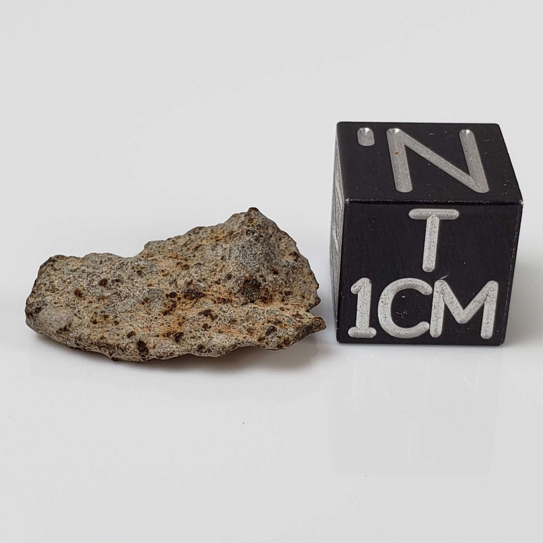  NWA 515 Meteorite | 1.086 Gr | Fragment | L6 Chondrite | Sahara 