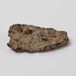  NWA 515 Meteorite | 1.086 Gr | Fragment | L6 Chondrite | Sahara 1