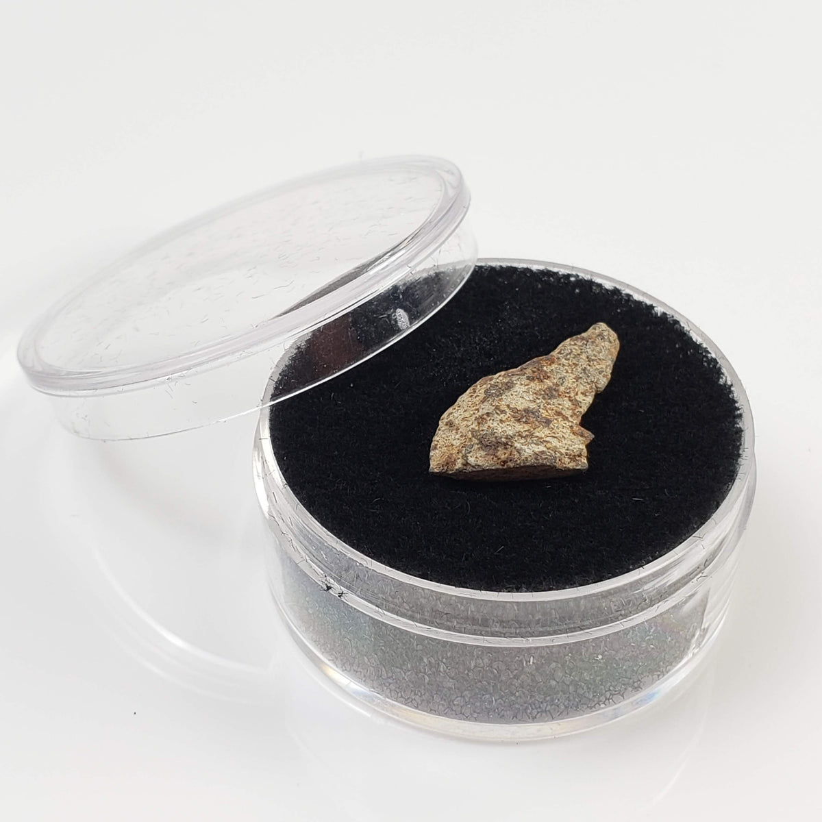  NWA 515 Meteorite | 1.16 Gr | Fragment | L6 Chondrite | Morocco 7