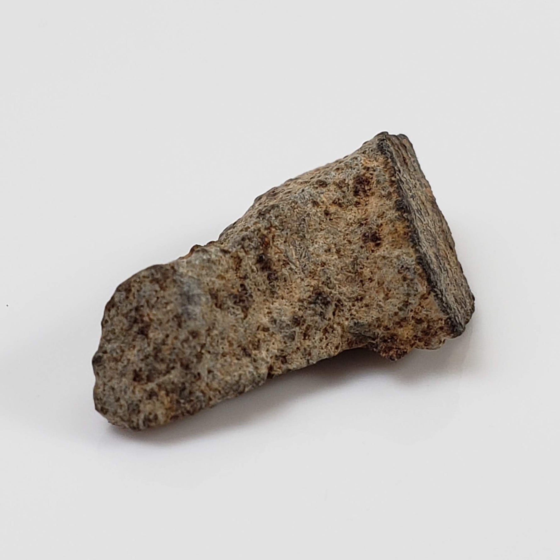  NWA 515 Meteorite | 1.16 Gr | Fragment | L6 Chondrite | Morocco 2