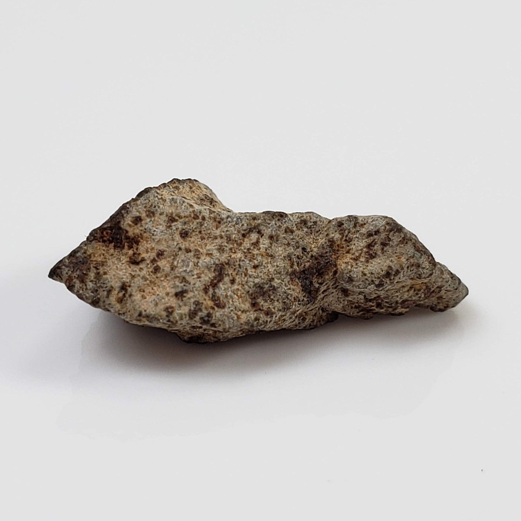  NWA 515 Meteorite | 1.16 Gr | Fragment | L6 Chondrite | Morocco 3