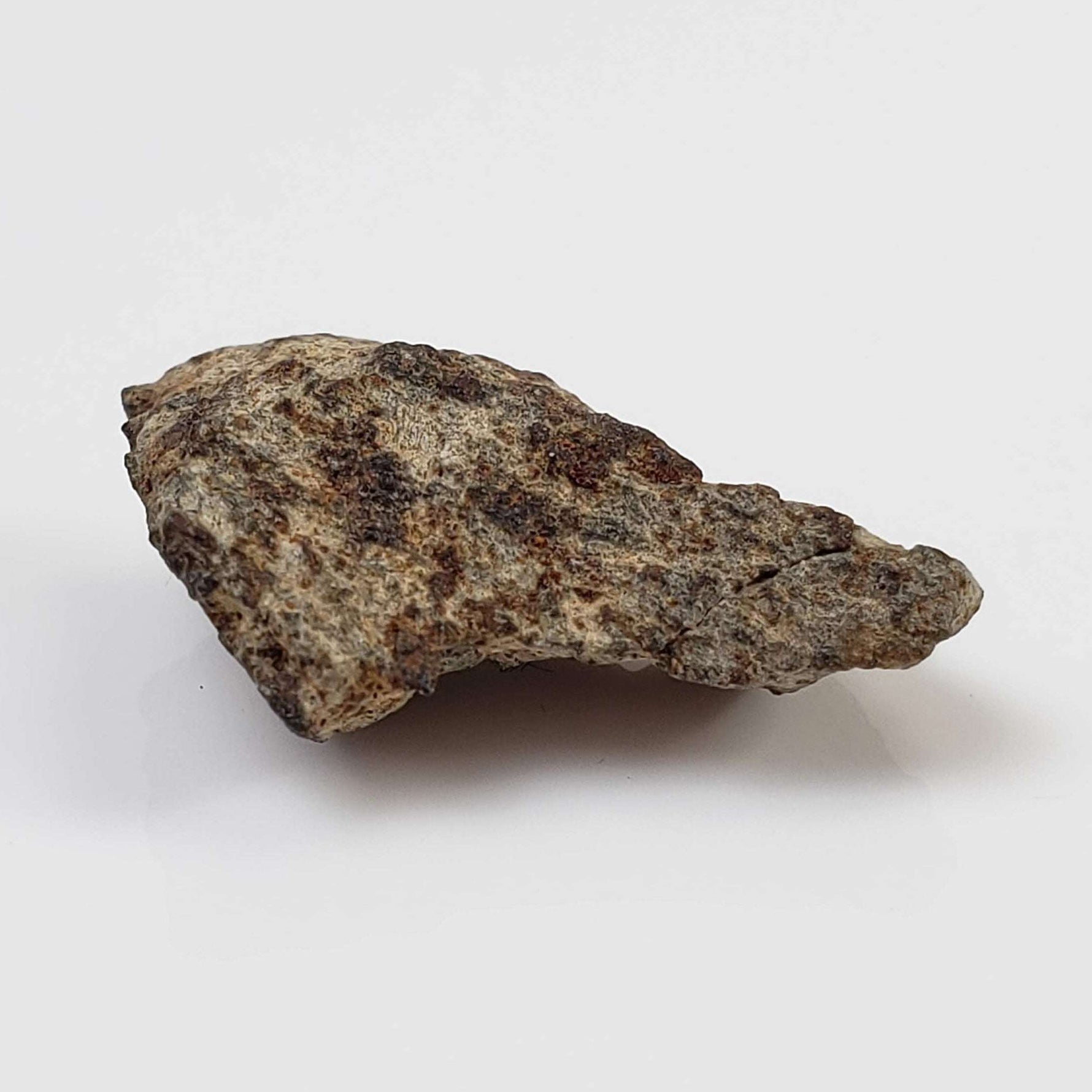  NWA 515 Meteorite | 1.16 Gr | Fragment | L6 Chondrite | Morocco 4