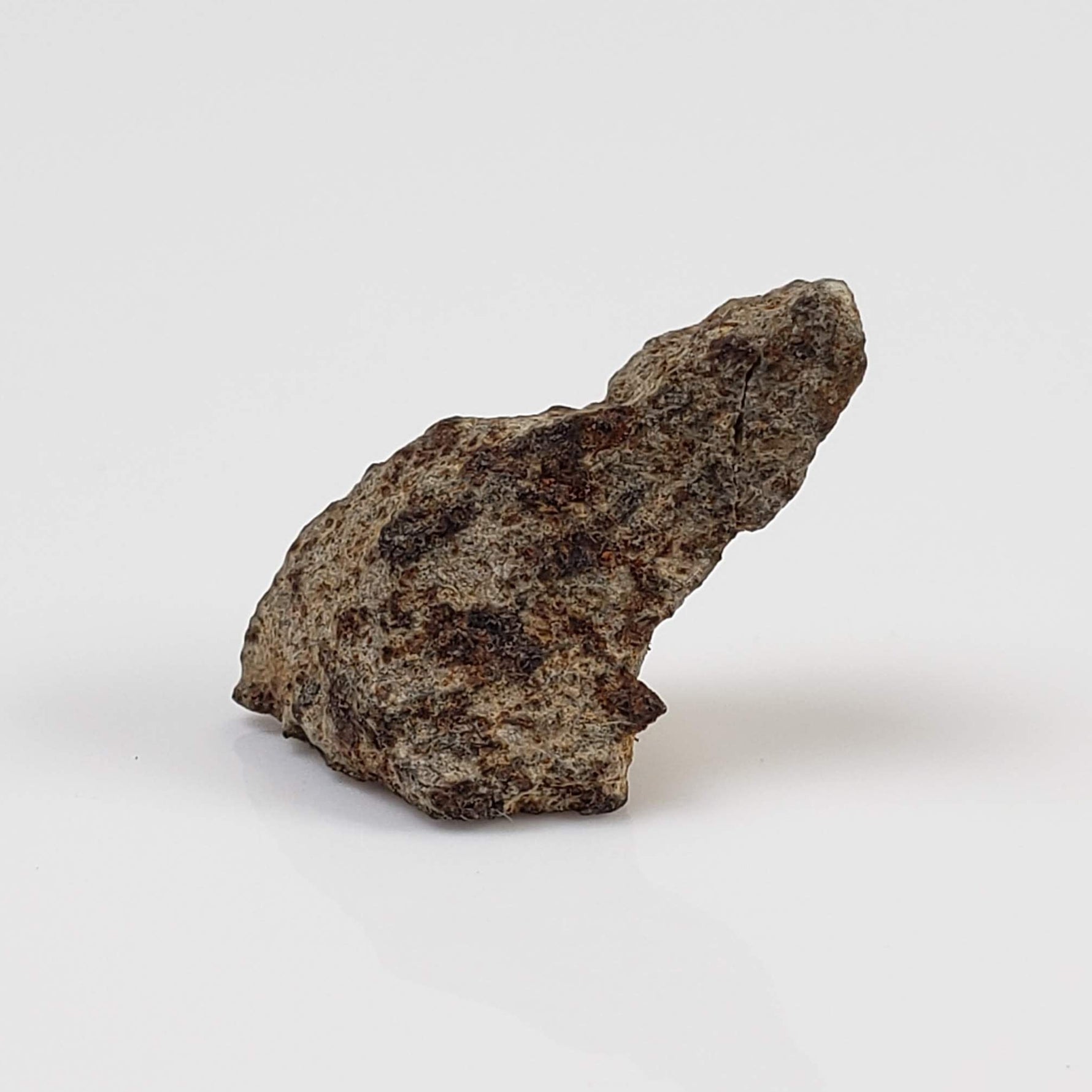  NWA 515 Meteorite | 1.16 Gr | Fragment | L6 Chondrite | Morocco 5