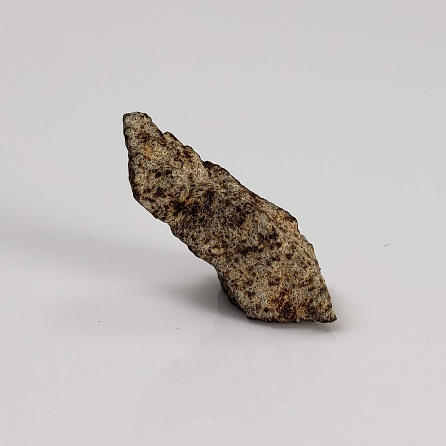  NWA 515 Meteorite | 1.16 Gr | Fragment | L6 Chondrite | Morocco 6