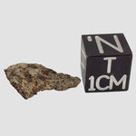  NWA 515 Meteorite | 1.16 Gr | Fragment | L6 Chondrite | Morocco 