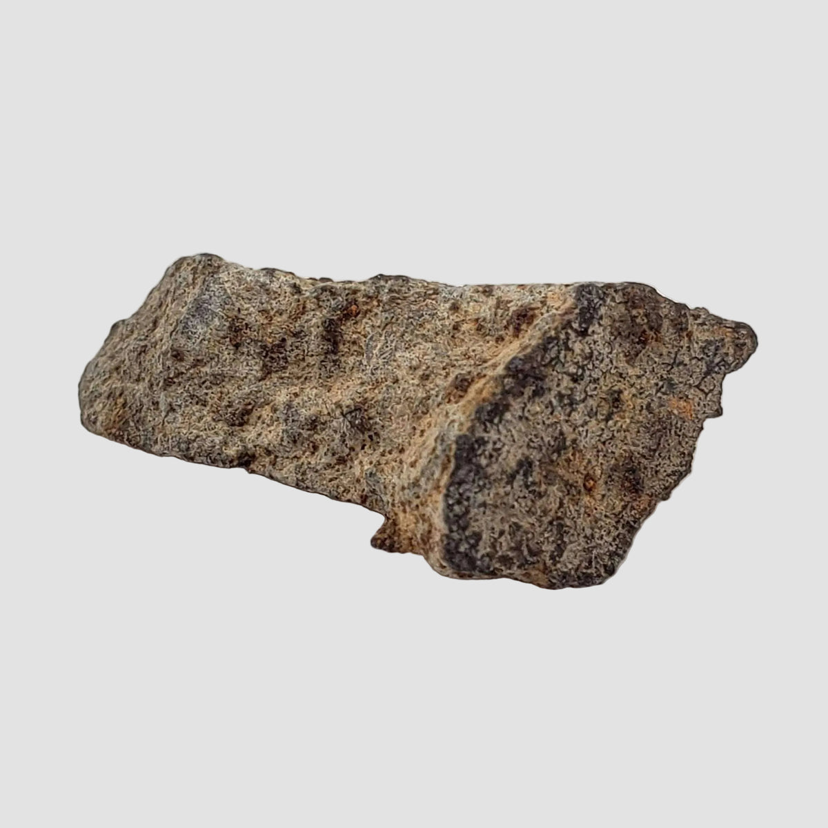  NWA 515 Meteorite | 1.16 Gr | Fragment | L6 Chondrite | Morocco 1