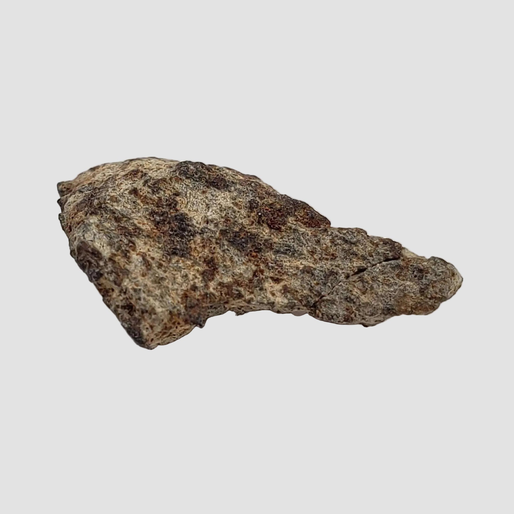  NWA 515 Meteorite | 1.16 Gr | Fragment | L6 Chondrite | Morocco 4