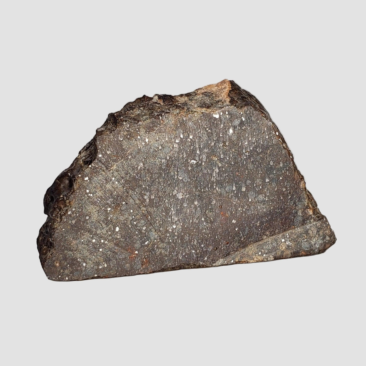  NWA 787 Meteorite | 17.37 Gr | Part Slice | L3-6 Chondrite | Morocco 1