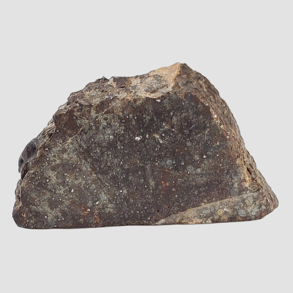 NWA 787 Meteorite | 17.37 Gr | Part Slice | L3-6 Chondrite | Morocco 2