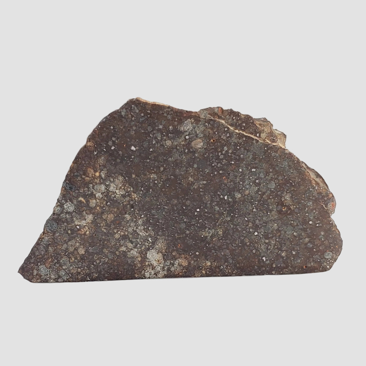  NWA 787 Meteorite | 17.37 Gr | Part Slice | L3-6 Chondrite | Morocco 3