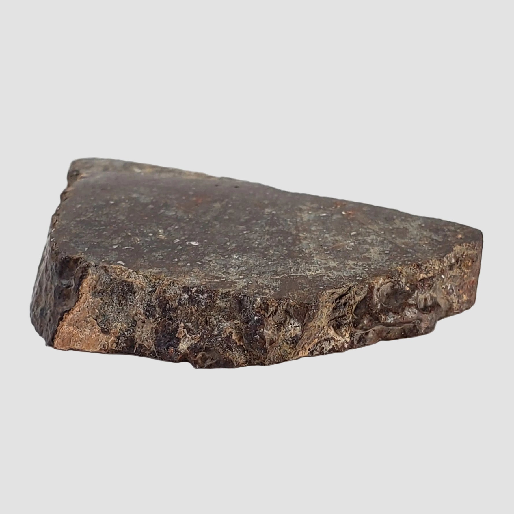  NWA 787 Meteorite | 17.37 Gr | Part Slice | L3-6 Chondrite | Morocco 4