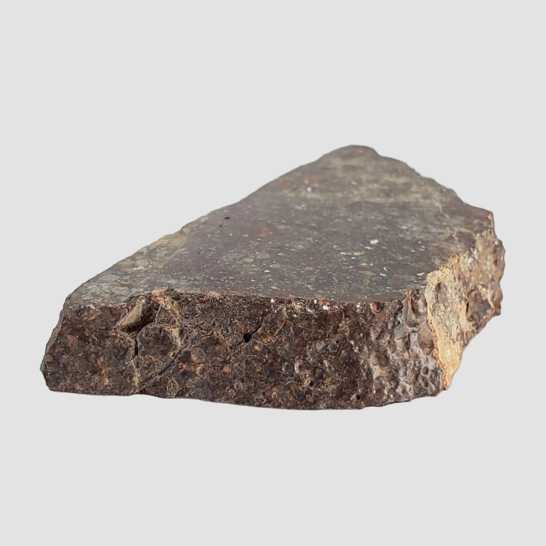  NWA 787 Meteorite | 17.37 Gr | Part Slice | L3-6 Chondrite | Morocco 5
