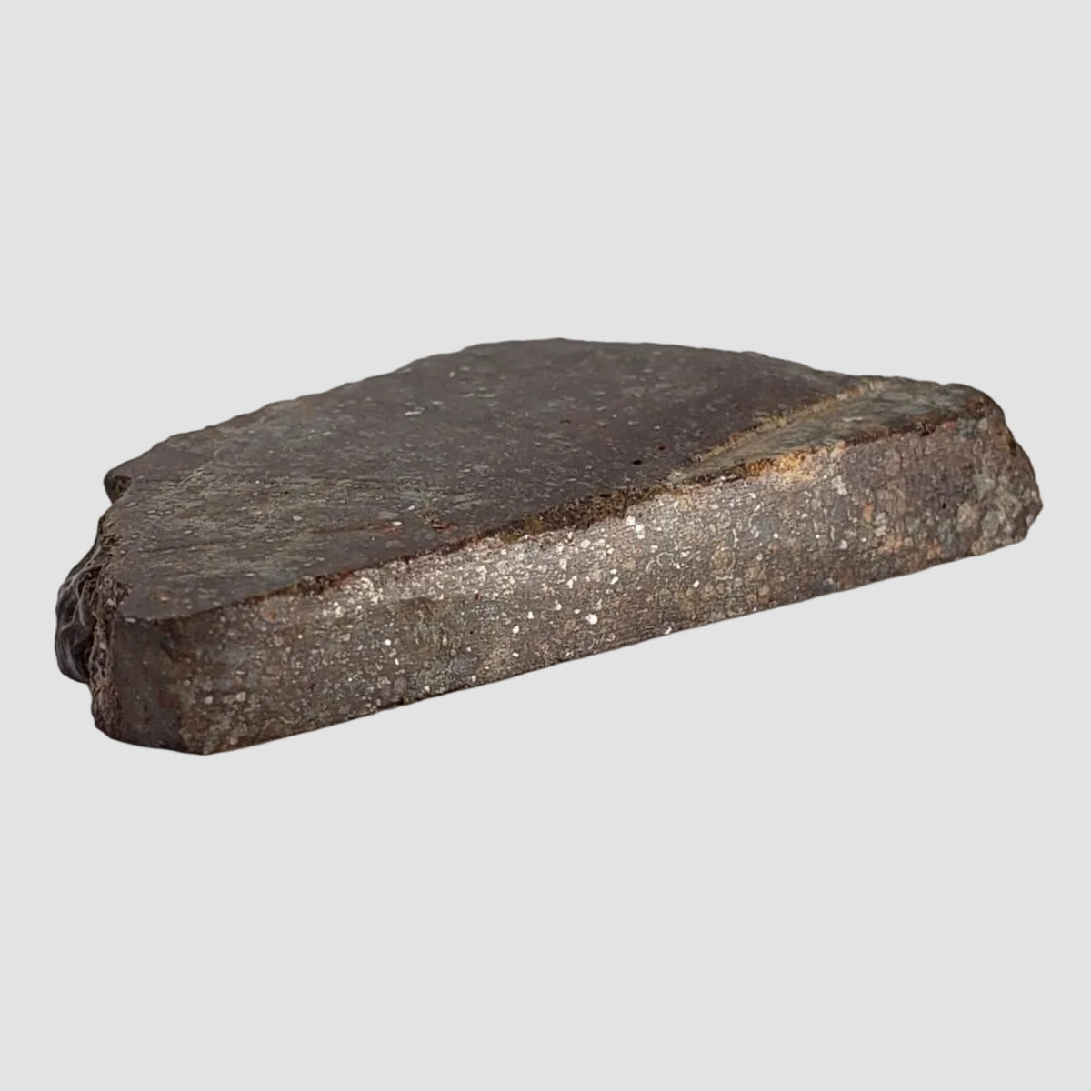  NWA 787 Meteorite | 17.37 Gr | Part Slice | L3-6 Chondrite | Morocco 6