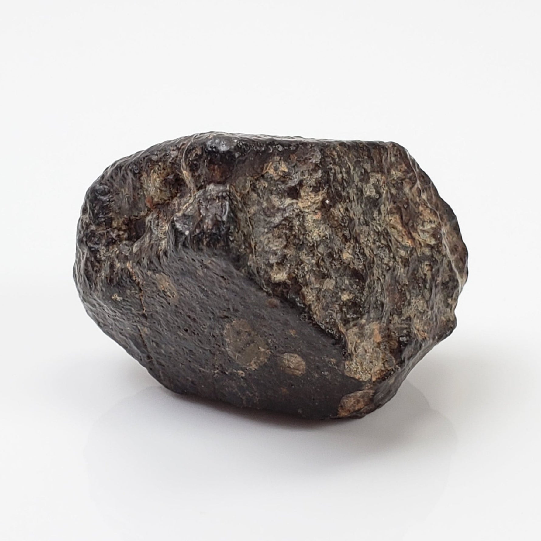  NWA 869 Meteorite | 20.4 Gr | Individual | L3-6 Chondrite | Crusted Specimen 3