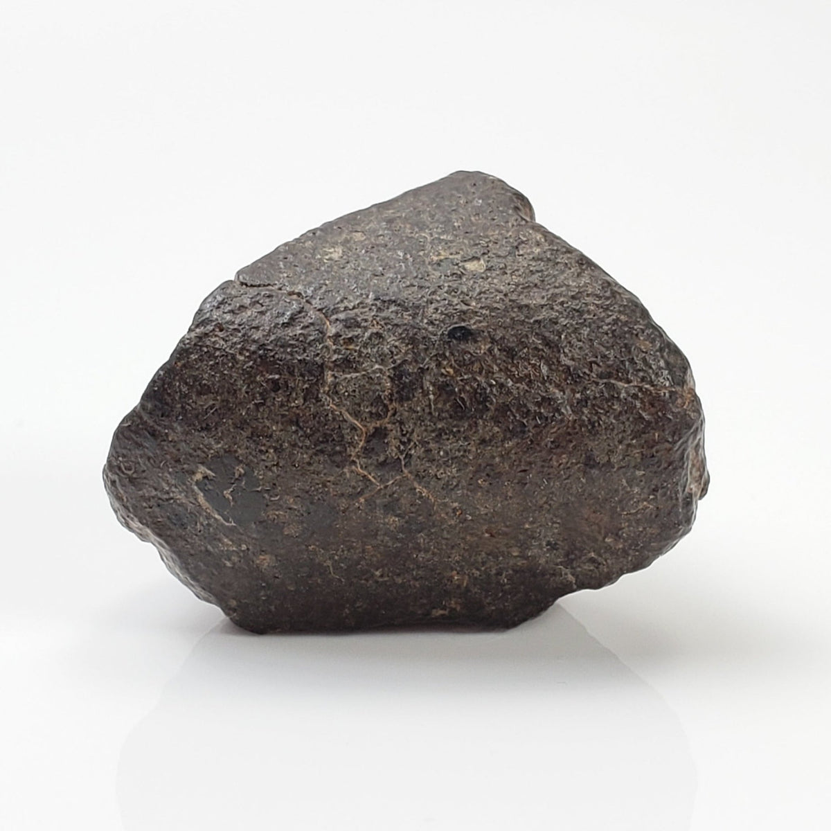  NWA 869 Meteorite | 20.4 Gr | Individual | L3-6 Chondrite | Crusted Specimen 4