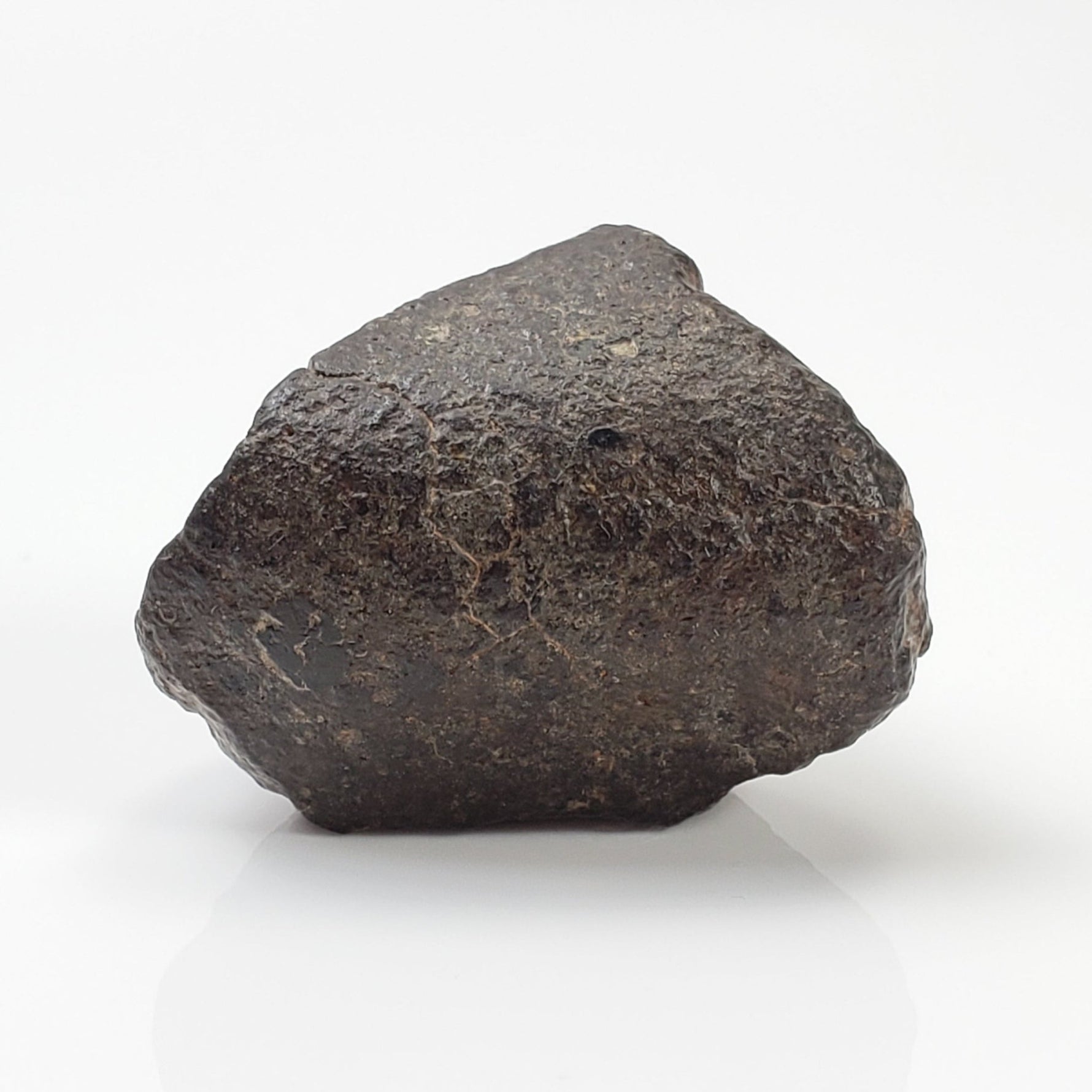  NWA 869 Meteorite | 20.4 Gr | Individual | L3-6 Chondrite | Crusted Specimen 4