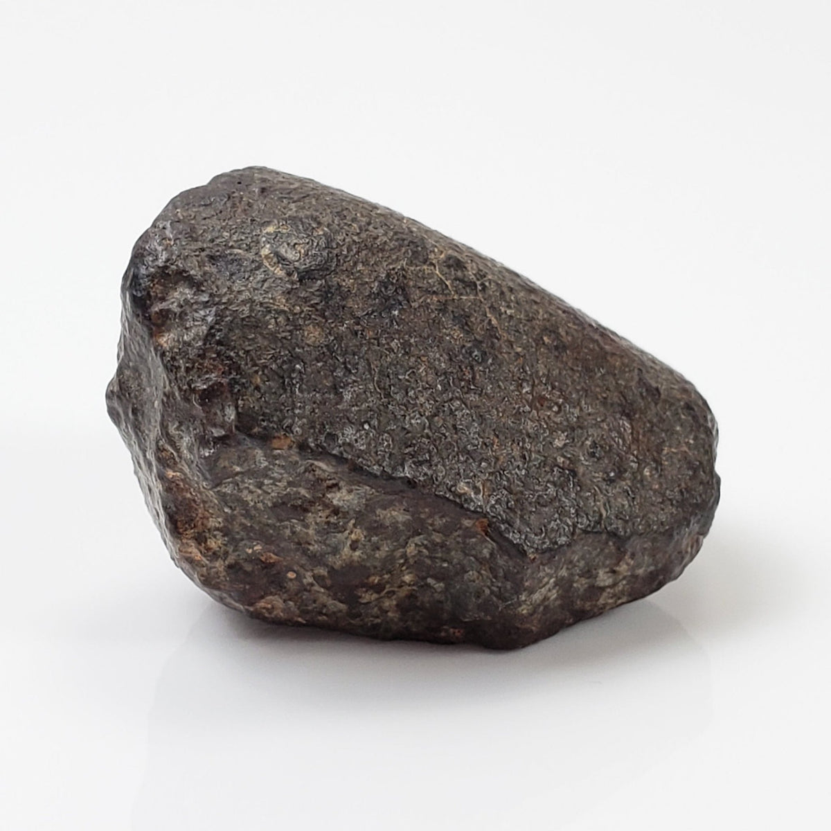  NWA 869 Meteorite | 20.4 Gr | Individual | L3-6 Chondrite | Crusted Specimen 5
