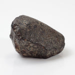  NWA 869 Meteorite | 20.4 Gr | Individual | L3-6 Chondrite | Crusted Specimen 5