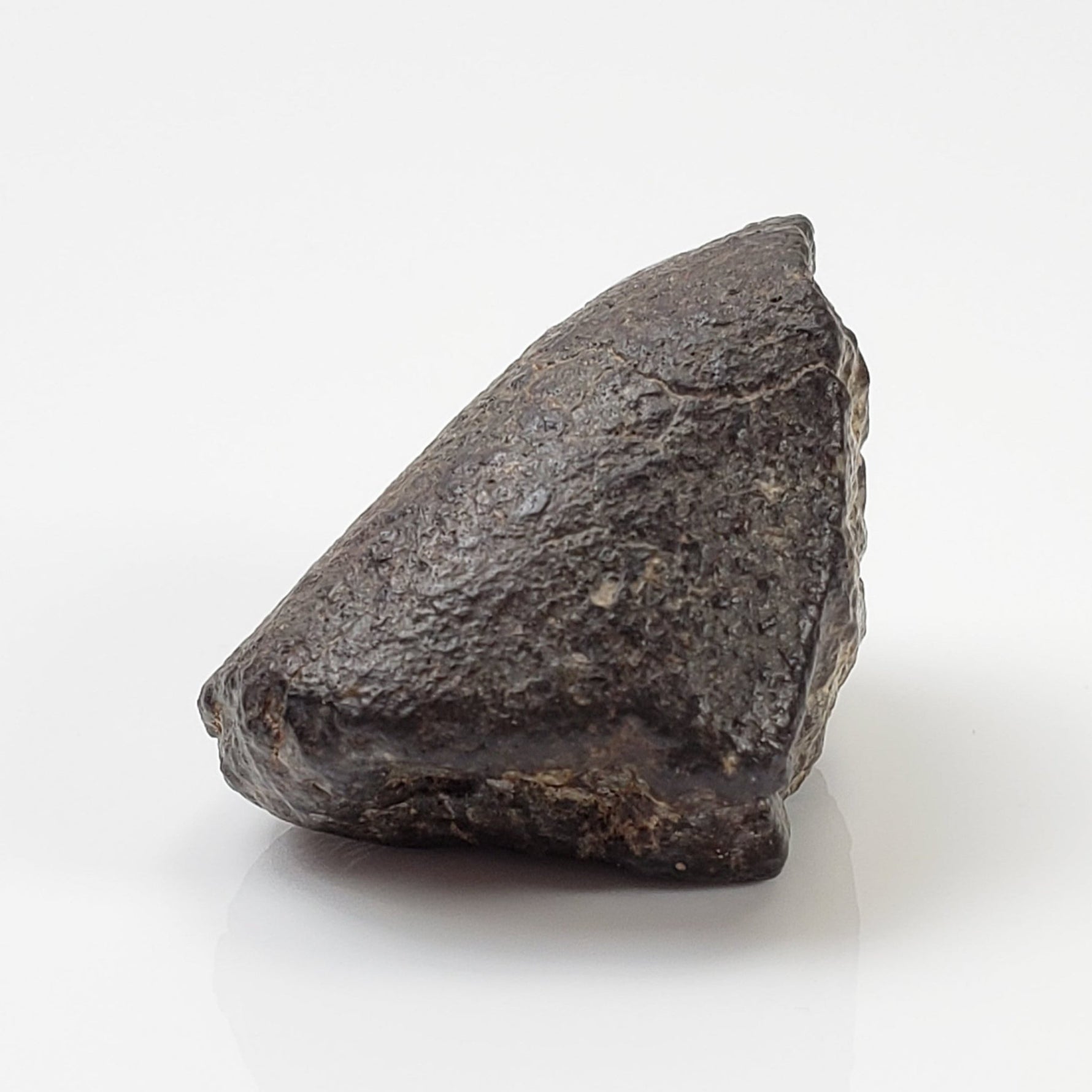  NWA 869 Meteorite | 20.4 Gr | Individual | L3-6 Chondrite | Crusted Specimen 1