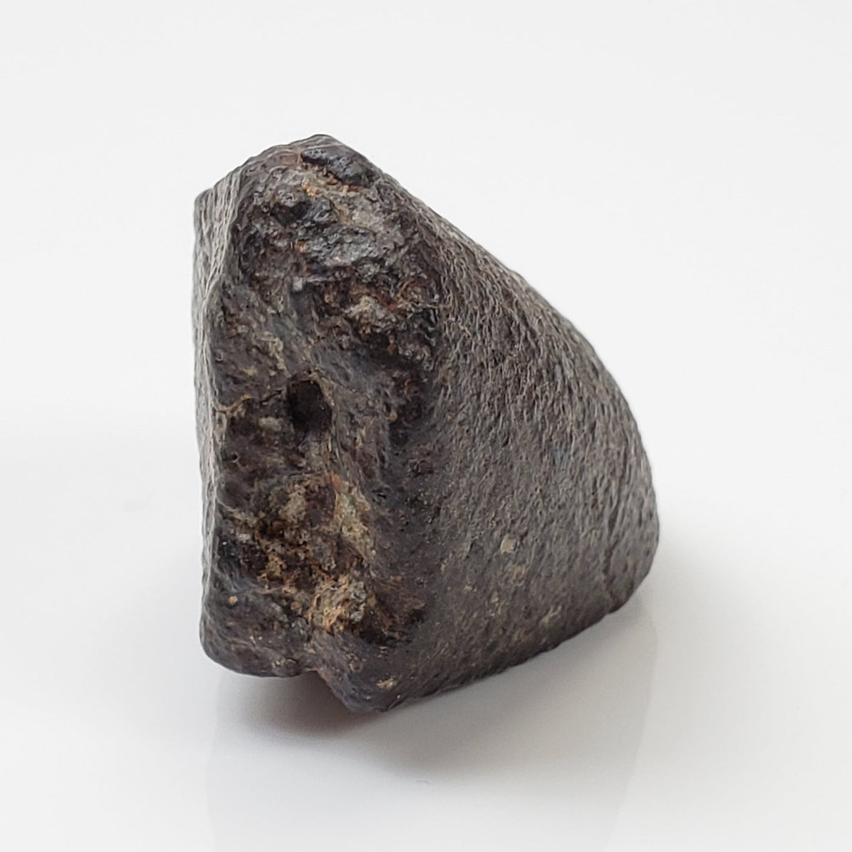 NWA 869 Meteorite | 20.4 Gr | Individual | L3-6 Chondrite | Crusted Specimen 6
