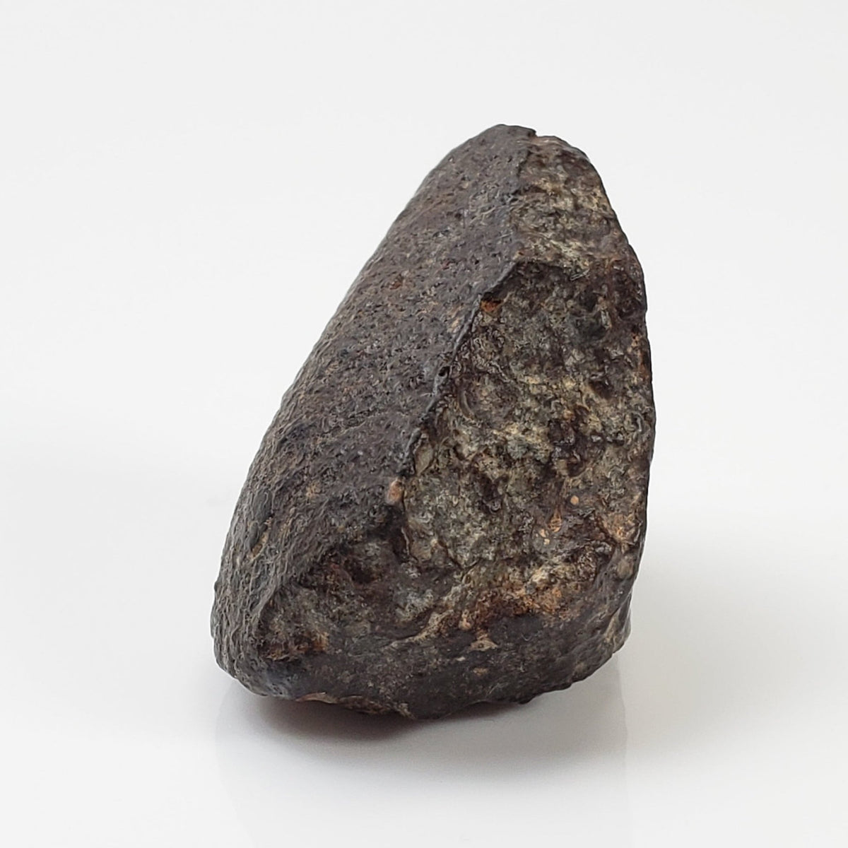  NWA 869 Meteorite | 20.4 Gr | Individual | L3-6 Chondrite | Crusted Specimen 7