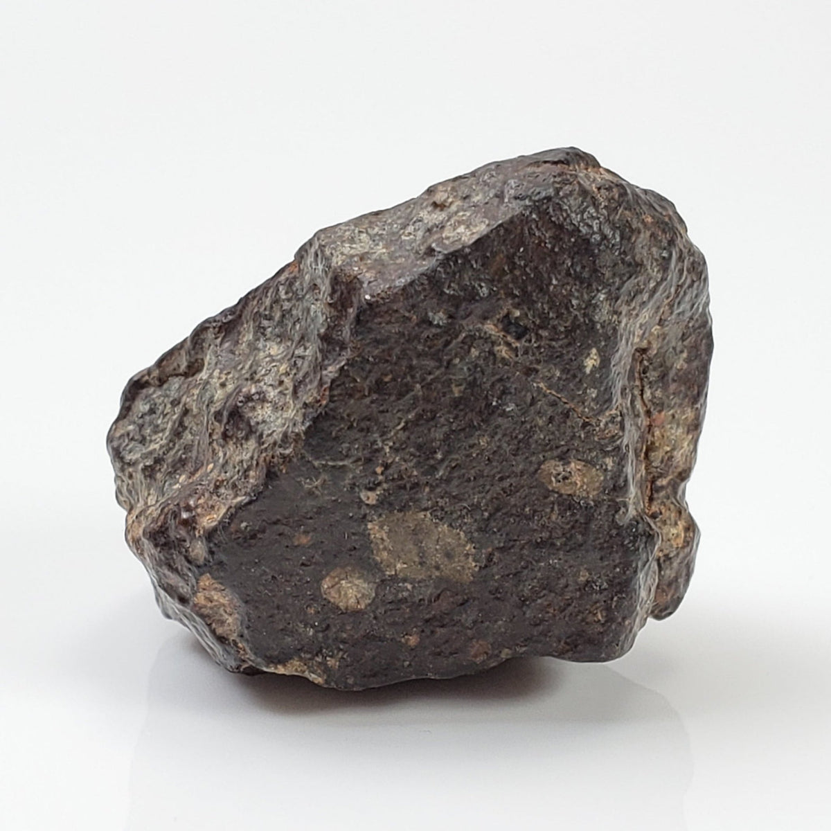  NWA 869 Meteorite | 20.4 Gr | Individual | L3-6 Chondrite | Crusted Specimen 2