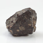  NWA 869 Meteorite | 20.4 Gr | Individual | L3-6 Chondrite | Crusted Specimen 2