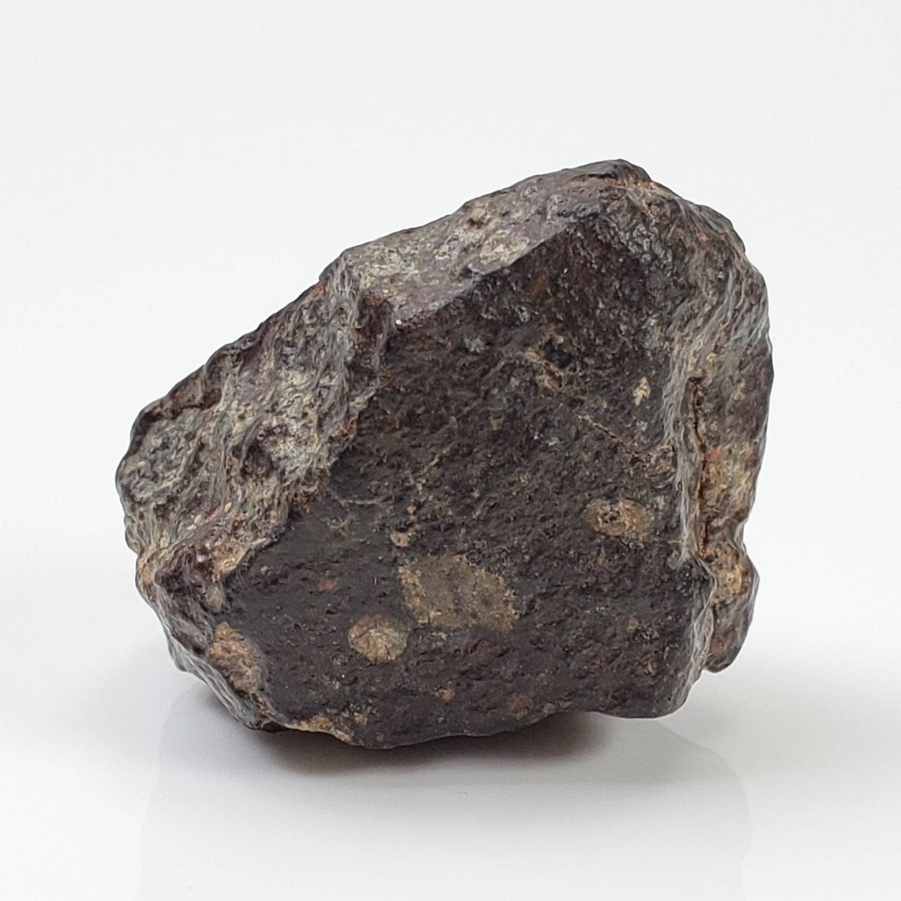  NWA 869 Meteorite | 20.4 Gr | Individual | L3-6 Chondrite | Crusted Specimen 2