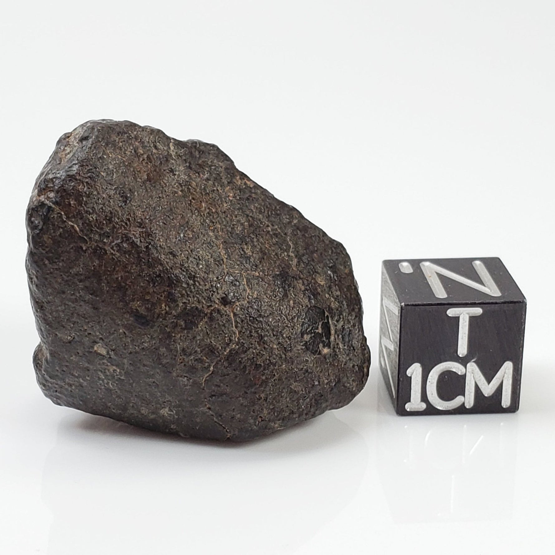  NWA 869 Meteorite | 20.4 Gr | Individual | L3-6 Chondrite | Crusted Specimen 