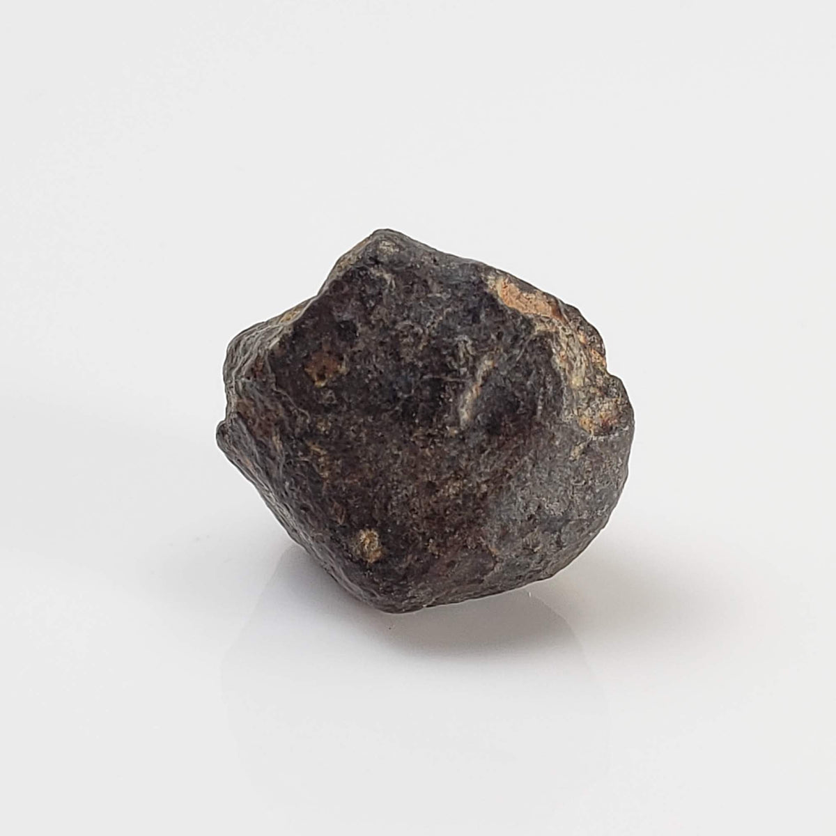  NWA 869 Meteorite | 3.76 Gr | Individual | L3-6 Chondrite | Crusted Specimen 2