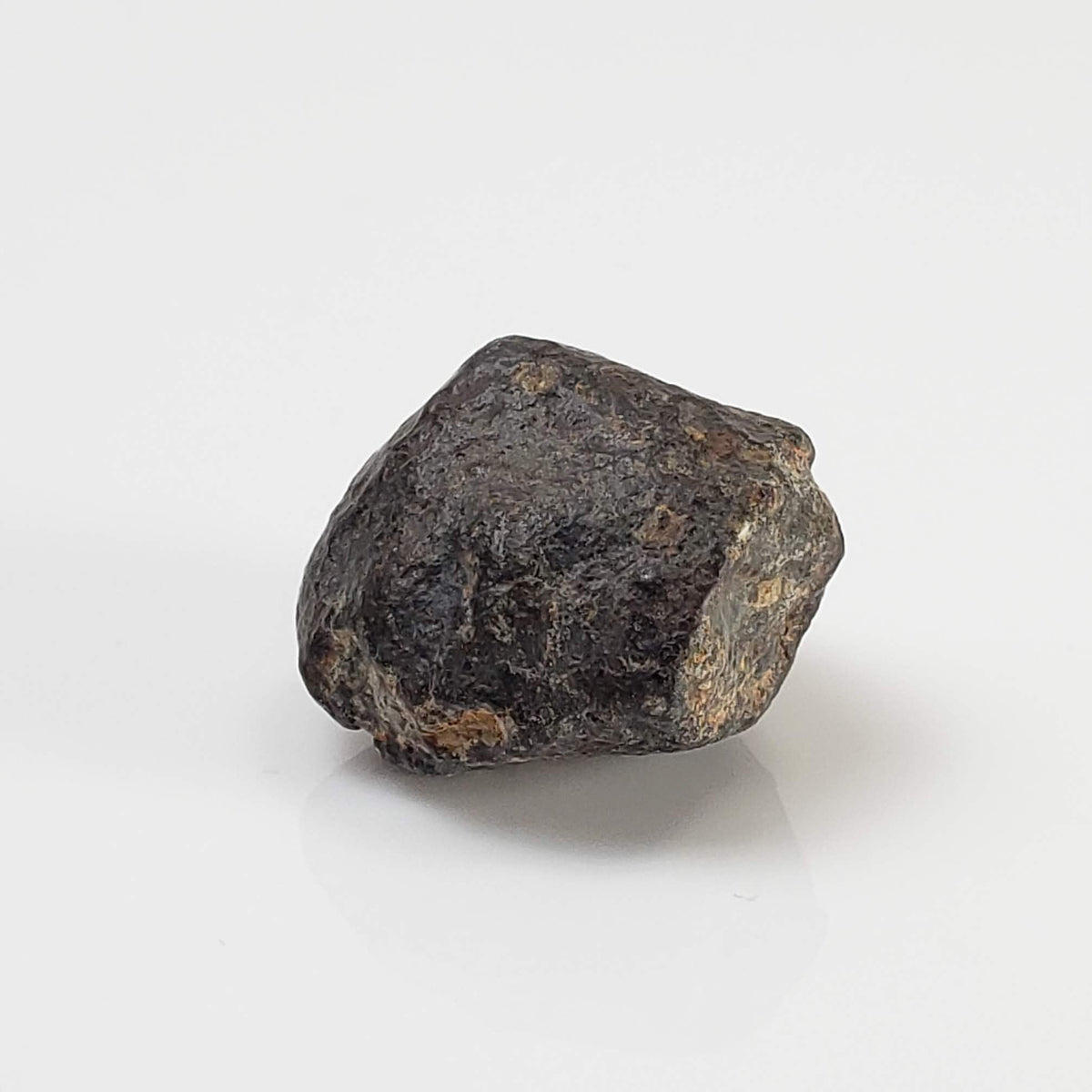 NWA 869 Meteorite | 3.76 Gr | Individual | L3-6 Chondrite | Crusted Specimen 4