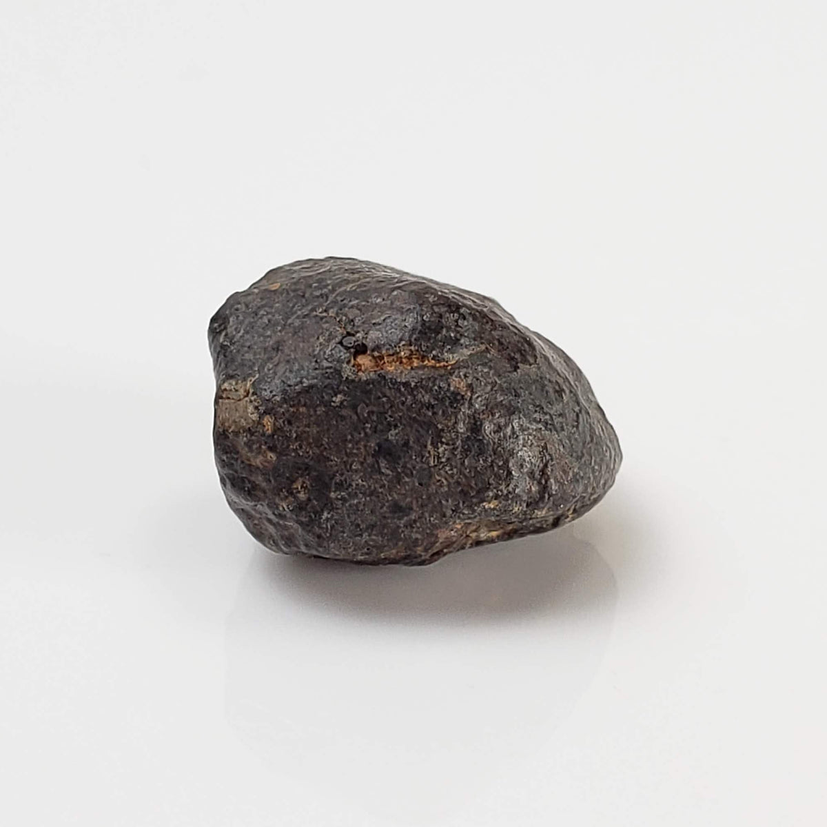  NWA 869 Meteorite | 3.76 Gr | Individual | L3-6 Chondrite | Crusted Specimen 5