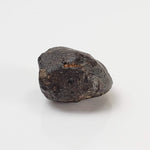  NWA 869 Meteorite | 3.76 Gr | Individual | L3-6 Chondrite | Crusted Specimen 5