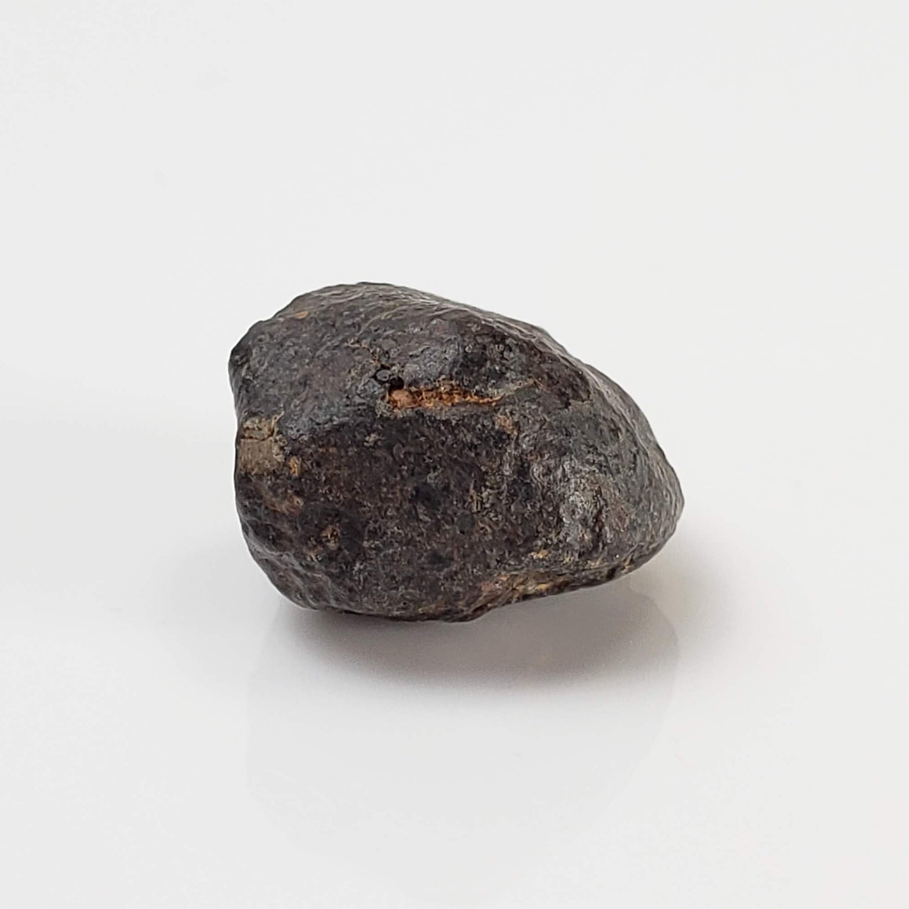  NWA 869 Meteorite | 3.76 Gr | Individual | L3-6 Chondrite | Crusted Specimen 5