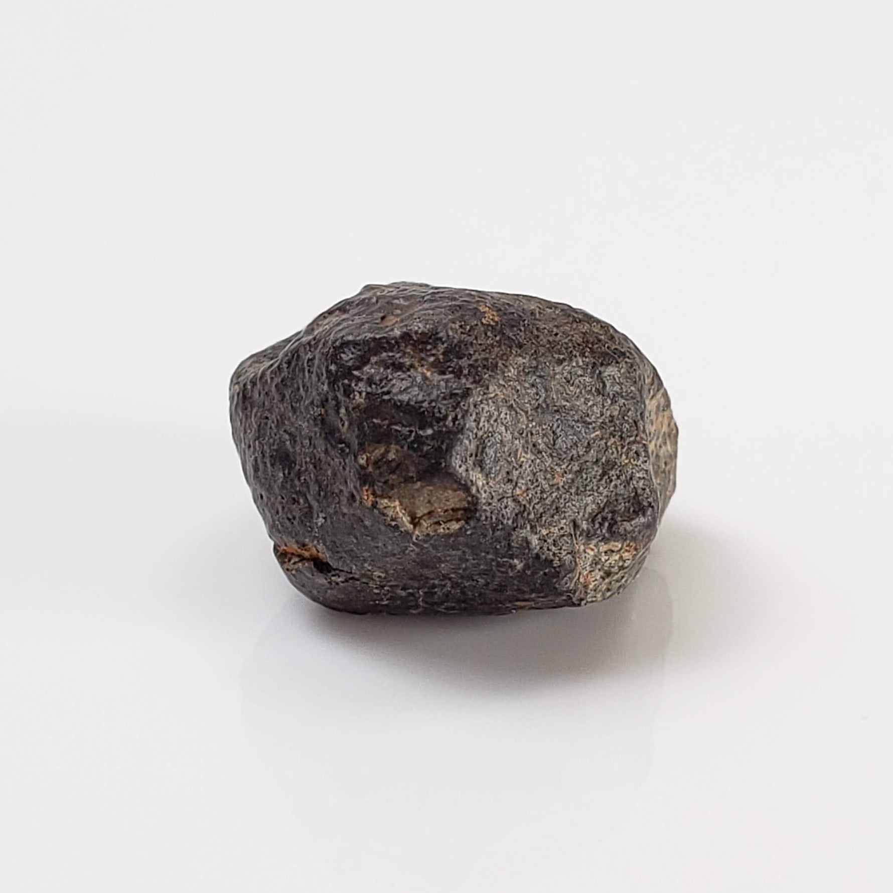  NWA 869 Meteorite | 3.76 Gr | Individual | L3-6 Chondrite | Crusted Specimen 7