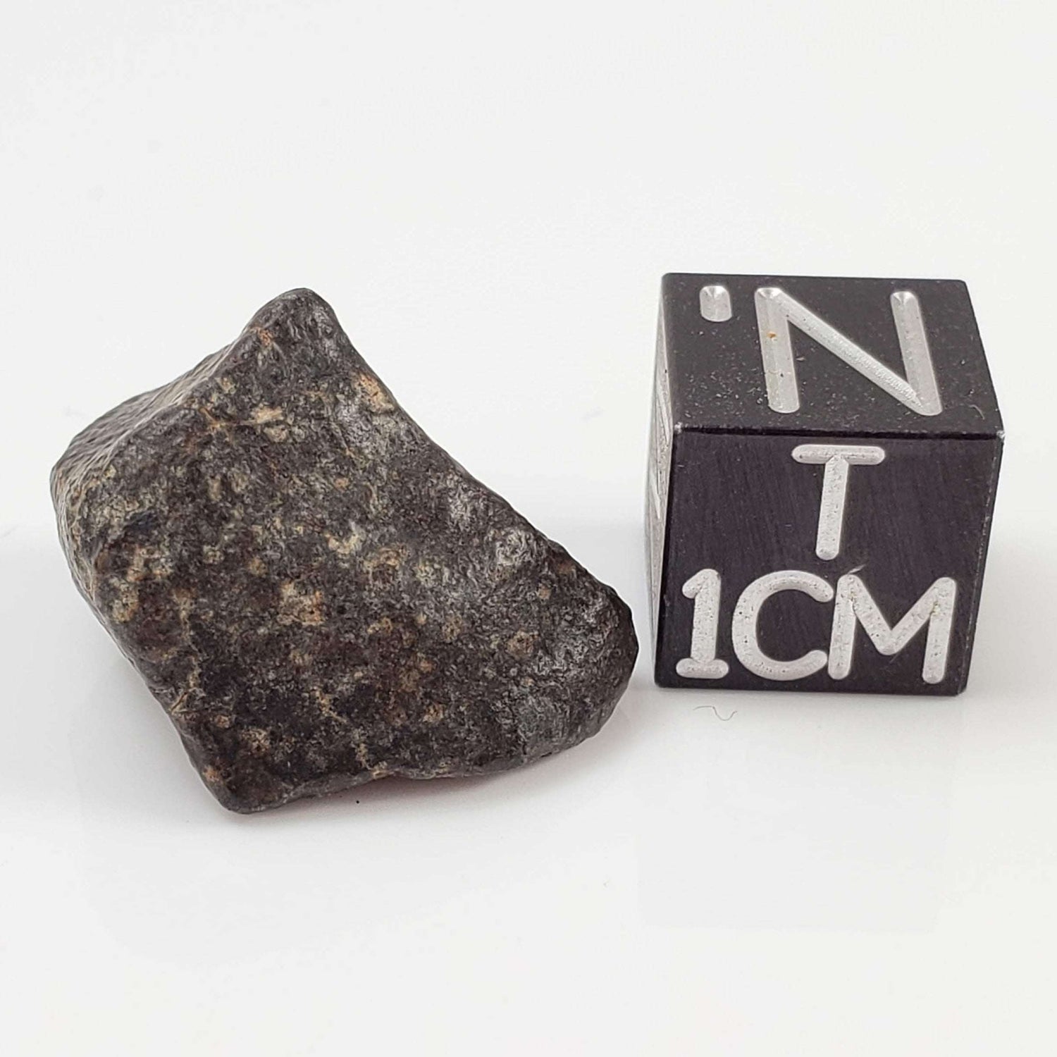  NWA 869 Meteorite | 3.81 Gr | Individual | L3-6 Chondrite | Crusted Specimen 