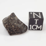  NWA 869 Meteorite | 3.81 Gr | Individual | L3-6 Chondrite | Crusted Specimen 
